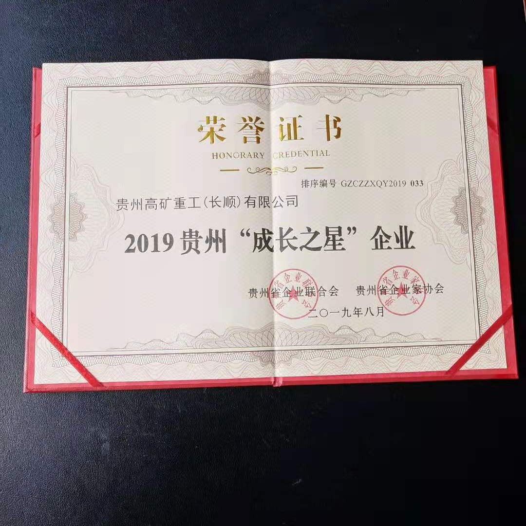 爱游戏真人荣获2019贵州“成长之星”企业称号